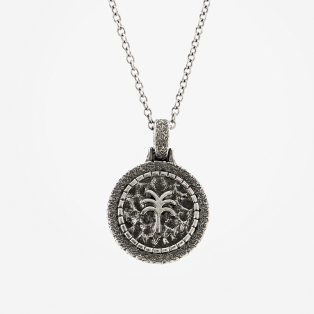 Collier Palm Beach