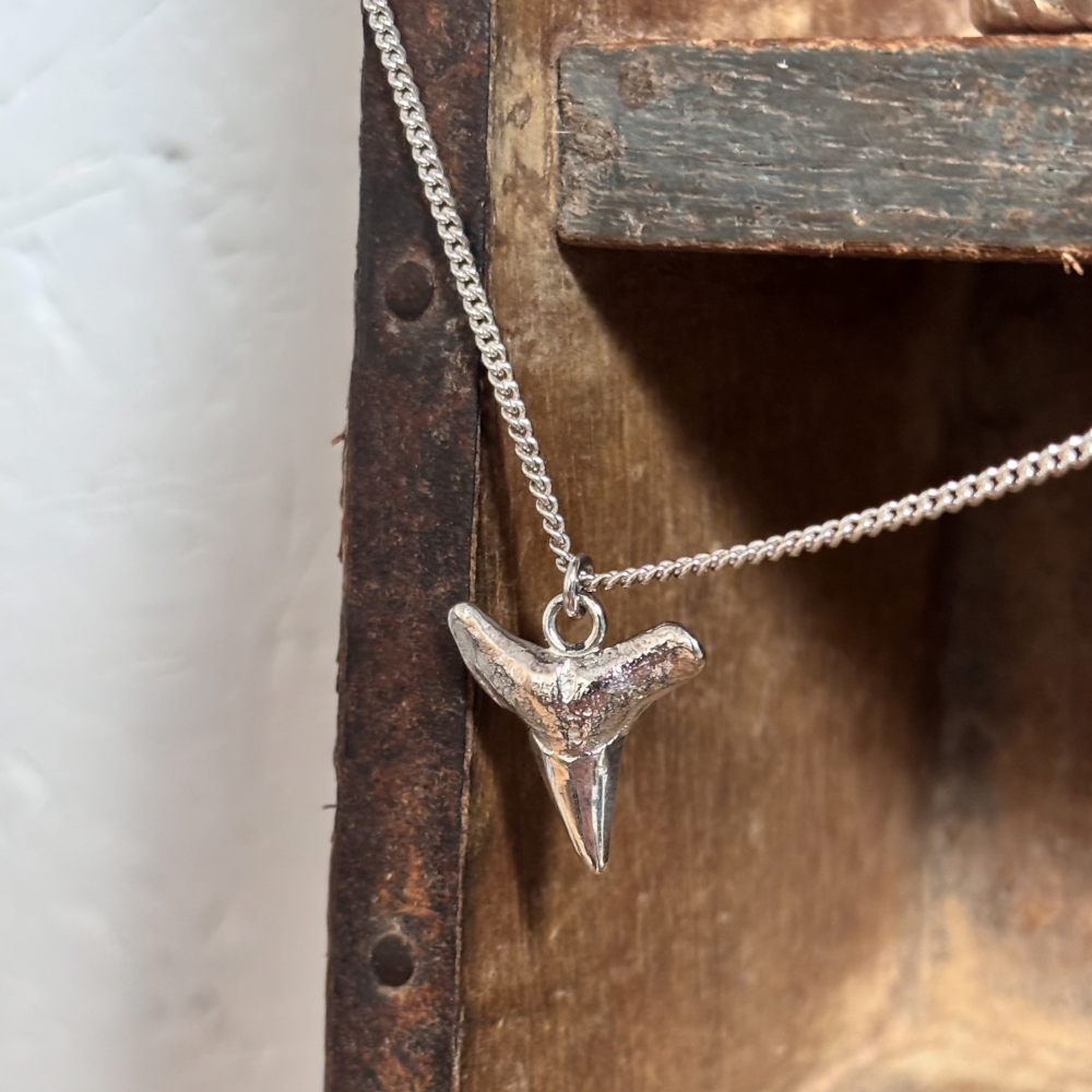 Mako Shark Tooth Pendant